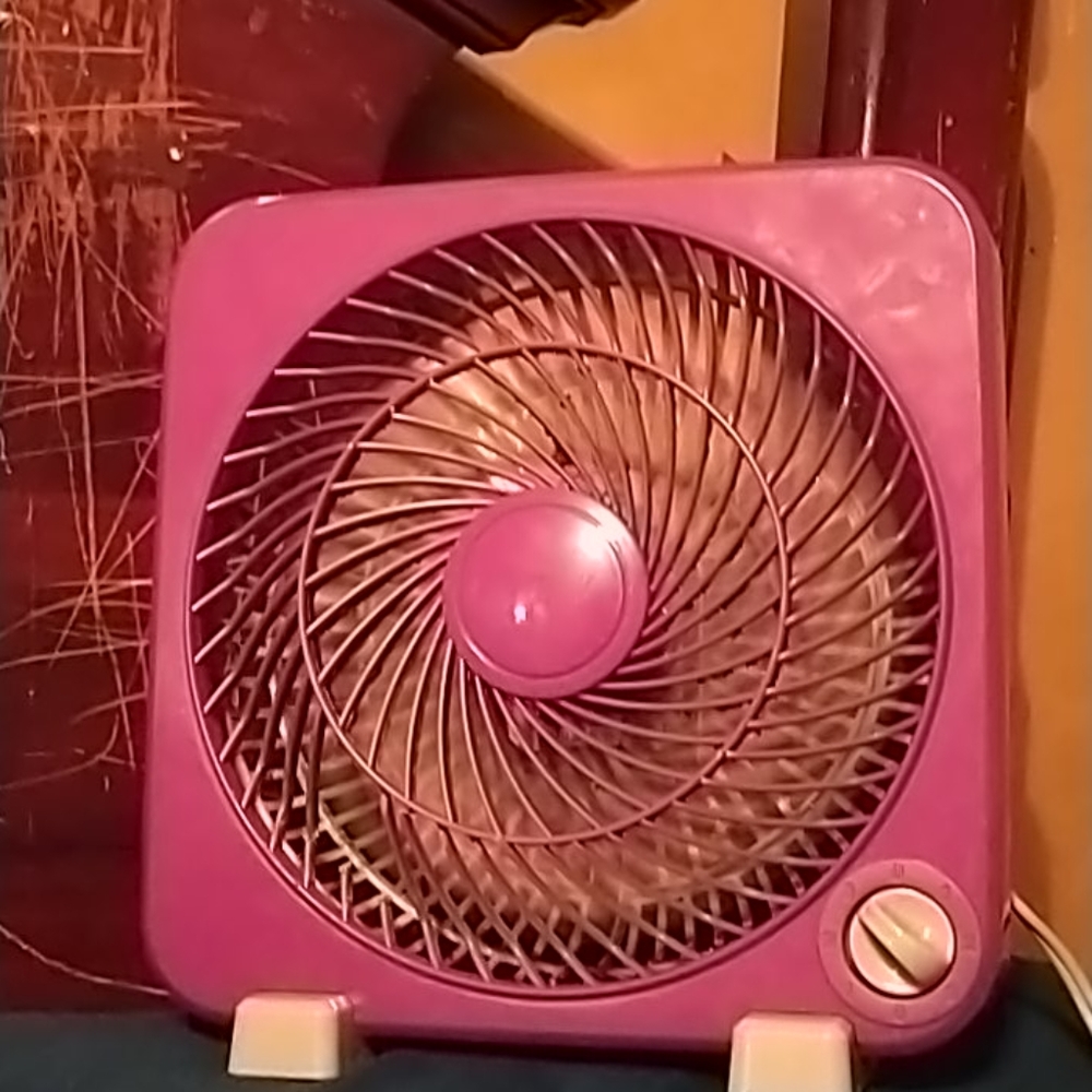 A fan